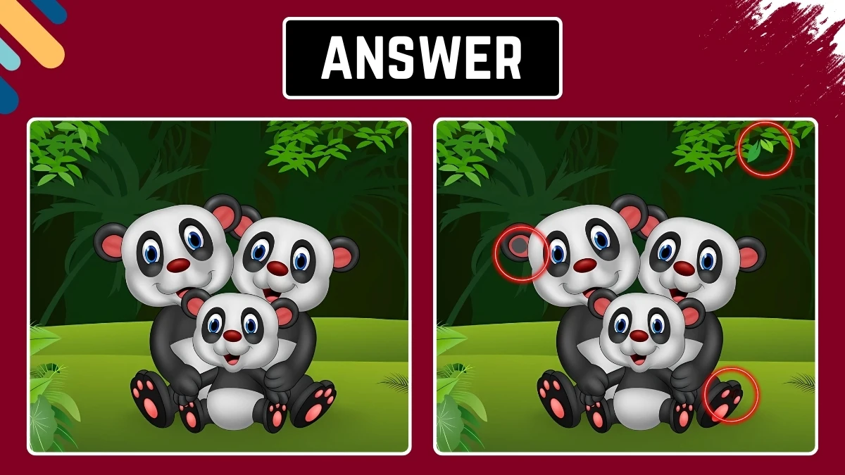 Optical Illusion image