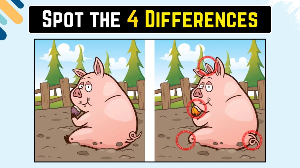 Optical Illusion Spot the Difference: केवल बाज की आंखें ही 15 सेकंड में 4 अंतर पहचान सकती हैं Optical Illusion Spot the Difference: केवल बाज की आंखें ही 15 सेकंड में 4 अंतर पहचान सकती हैं