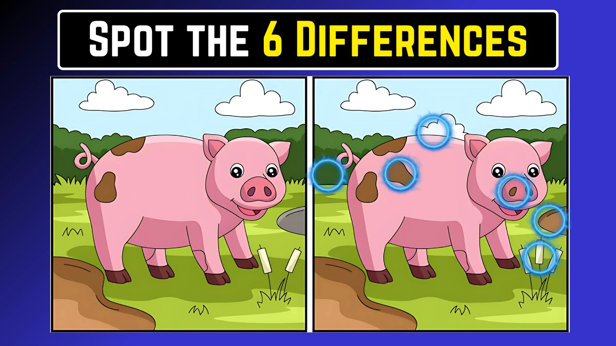 Optical Illusion Spot the Difference: केवल एक्स-रे विजन वाले लोग ही 18 सेकंड में इस सूअर की छवि में 6 अंतर पहचान सकते हैं Optical Illusion Spot the Difference: केवल एक्स-रे विजन वाले लोग ही 18 सेकंड में इस सूअर की छवि में 6 अंतर पहचान सकते हैं