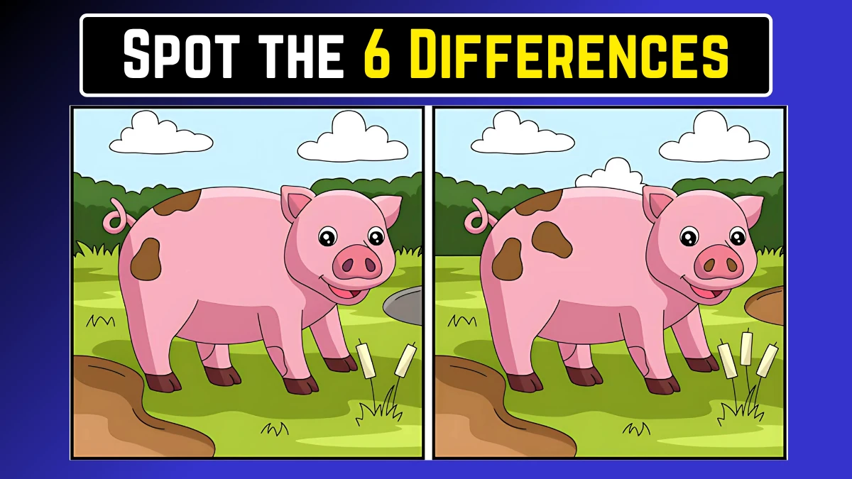 Optical Illusion Spot the Difference: केवल एक्स-रे विजन वाले लोग ही 18 सेकंड में इस सूअर की छवि में 6 अंतर पहचान सकते हैं Optical Illusion Spot the Difference: केवल एक्स-रे विजन वाले लोग ही 18 सेकंड में इस सूअर की छवि में 6 अंतर पहचान सकते हैं