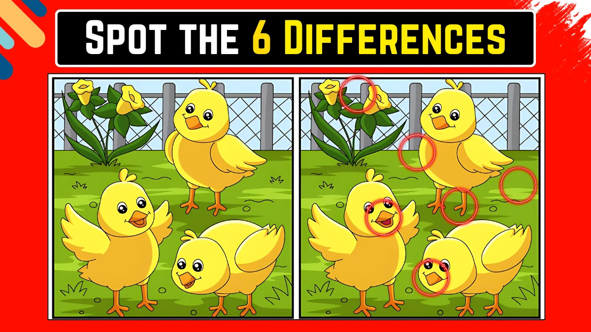 Optical Illusion Vision Test: केवल तेज़ नज़रें ही 15 सेकंड में 6 अंतर पहचान सकती हैं Optical Illusion Vision Test: केवल तेज़ नज़रें ही 15 सेकंड में 6 अंतर पहचान सकती हैं