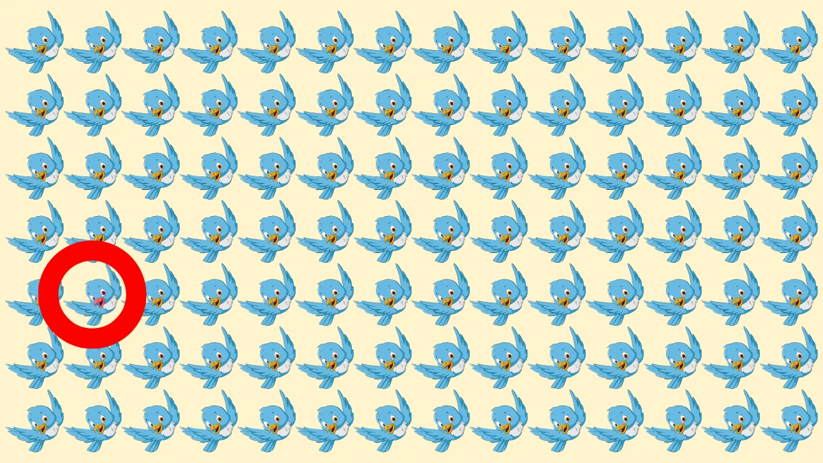 Optical Illusion Visual Test: यदि आपकी आंखें तेज हैं तो आप 5 सेकंड में अजीब पक्षी को पहचान सकते हैं Optical Illusion image