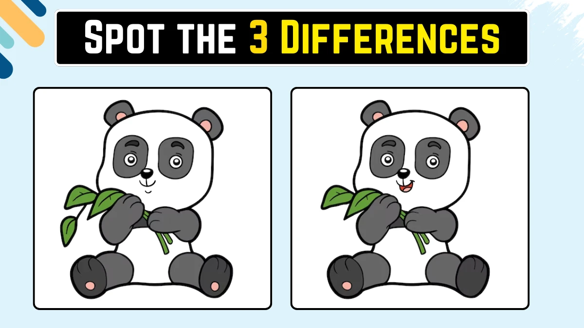 Spot the 3 Differences: केवल बाज की आंखें ही 10 सेकंड में इस पांडा छवि में 3 अंतर पहचान सकती हैं Spot the 3 Differences: केवल बाज की आंखें ही 10 सेकंड में इस पांडा छवि में 3 अंतर पहचान सकती हैं