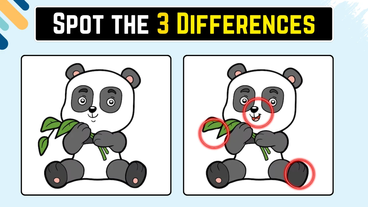 Spot the 3 Differences: केवल बाज की आंखें ही 10 सेकंड में इस पांडा छवि में 3 अंतर पहचान सकती हैं Spot the 3 Differences: केवल बाज की आंखें ही 10 सेकंड में इस पांडा छवि में 3 अंतर पहचान सकती हैं