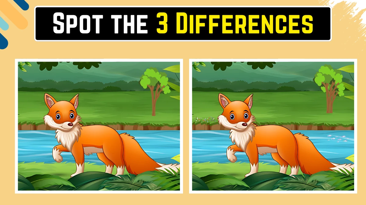 Spot the Difference Game: केवल अति तीव्र आँखें ही इस लोमड़ी की छवि में 10 सेकंड में 3 अंतर पहचान सकती हैं Spot the Difference Game: केवल अति तीव्र आँखें ही इस लोमड़ी की छवि में 10 सेकंड में 3 अंतर पहचान सकती हैं
