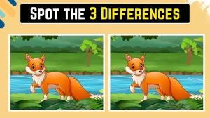Spot the Difference Game: केवल अति तीव्र आँखें ही इस लोमड़ी की छवि में 10 सेकंड में 3 अंतर पहचान सकती हैं Spot the Difference Game: केवल अति तीव्र आँखें ही इस लोमड़ी की छवि में 10 सेकंड में 3 अंतर पहचान सकती हैं