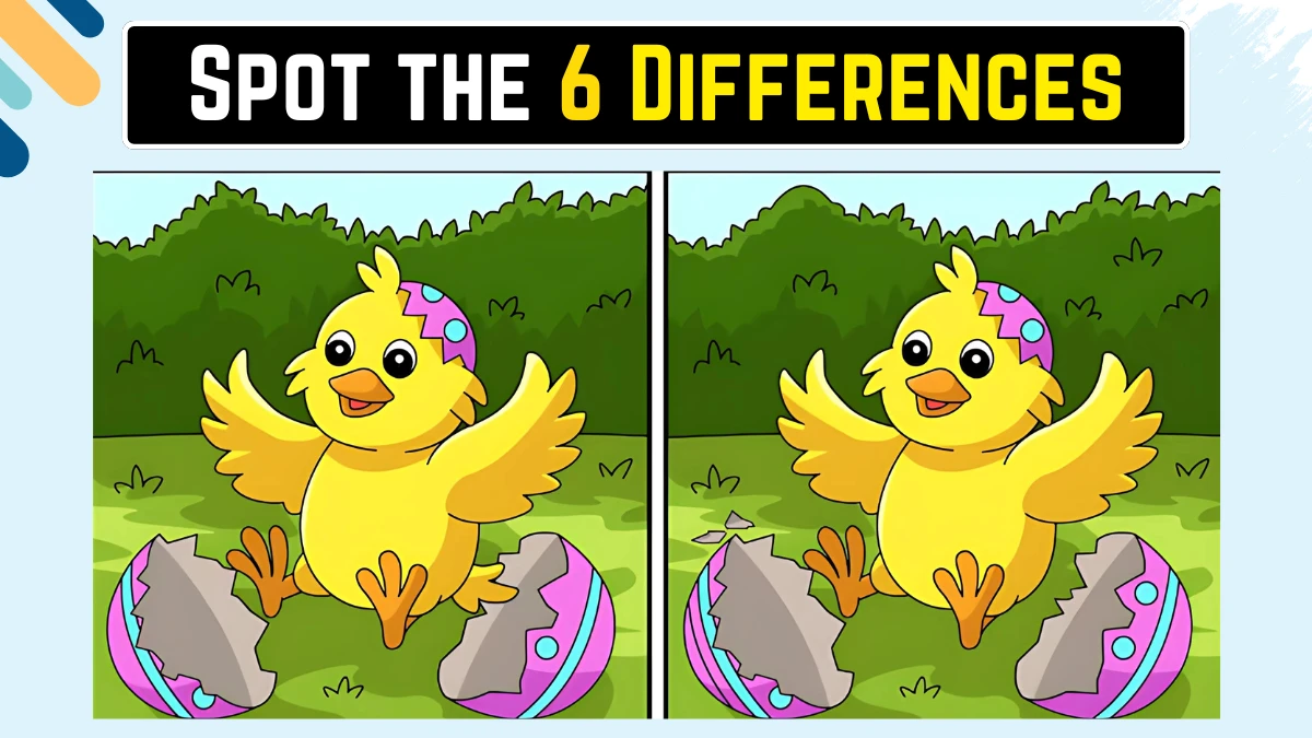 Spot the Difference Game: केवल 50/50 दृष्टि ही 18 सेकंड में इस छवि में 6 अंतरों को पहचान सकती है Spot the Difference Game: केवल 50/50 दृष्टि ही 18 सेकंड में इस छवि में 6 अंतरों को पहचान सकती है