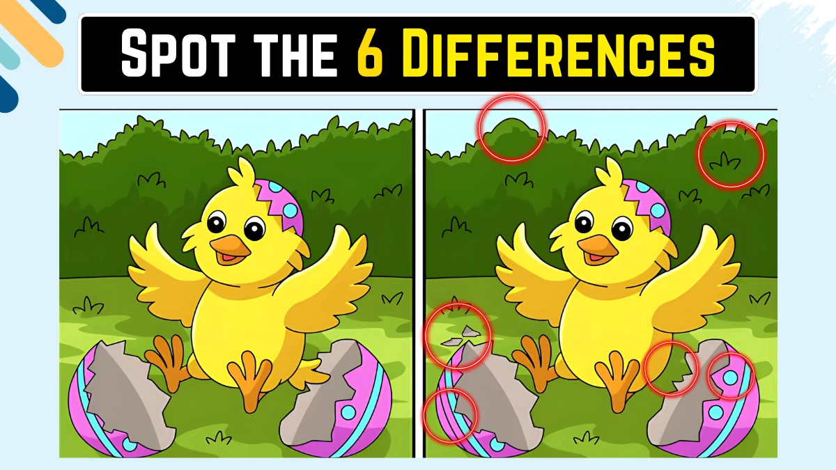 Spot the Difference Game: केवल 50/50 दृष्टि ही 18 सेकंड में इस छवि में 6 अंतरों को पहचान सकती है
