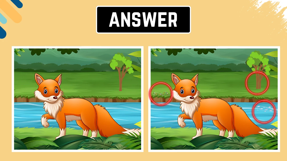 Spot the Difference Game: केवल अति तीव्र आँखें ही इस लोमड़ी की छवि में 10 सेकंड में 3 अंतर पहचान सकती हैं Spot the Difference Game: केवल अति तीव्र आँखें ही इस लोमड़ी की छवि में 10 सेकंड में 3 अंतर पहचान सकती हैं