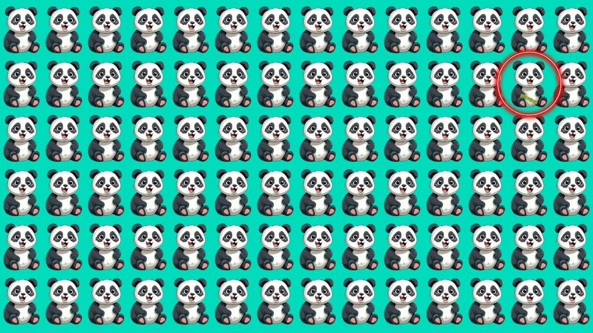 Brain Teaser: केवल प्रतिभाशाली लोग ही विषमता को शीघ्रता से पहचान सकते हैं! Brain Teaser: केवल प्रतिभाशाली लोग ही विषमता को शीघ्रता से पहचान सकते हैं!