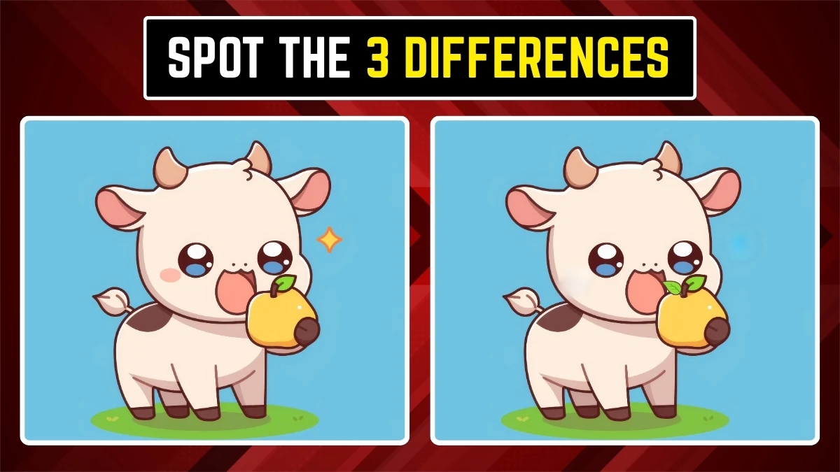 Brain Teaser Spot the Difference Game: 8 सेकंड में 3 छिपे हुए अंतर पहचानें Brain Teaser Spot the Difference Game: 8 सेकंड में 3 छिपे हुए अंतर पहचानें