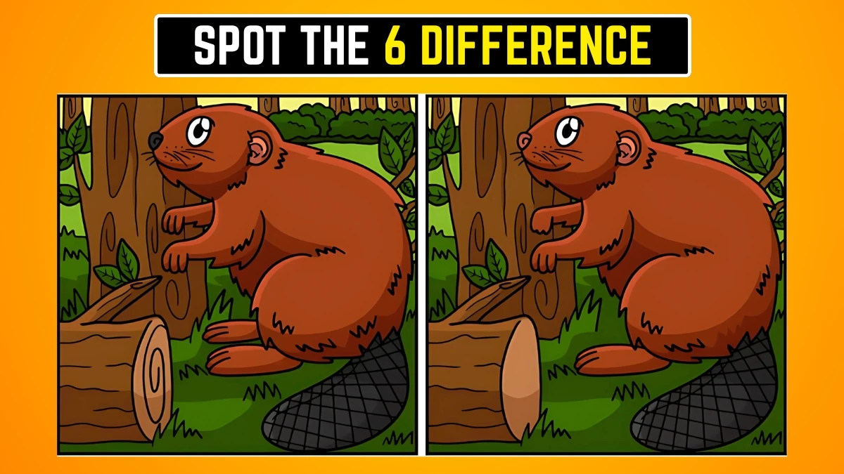 Brain Teaser Spot the Difference Game: 9 सेकंड में 6 अंतर खोजने के लिए अपनी आँखों को चुनौती दें Brain Teaser Spot the Difference Game: 9 सेकंड में 6 अंतर खोजने के लिए अपनी आँखों को चुनौती दें