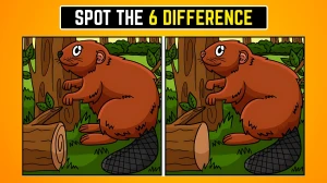 Brain Teaser Spot the Difference Game: 9 सेकंड में 6 अंतर खोजने के लिए अपनी आँखों को चुनौती दें