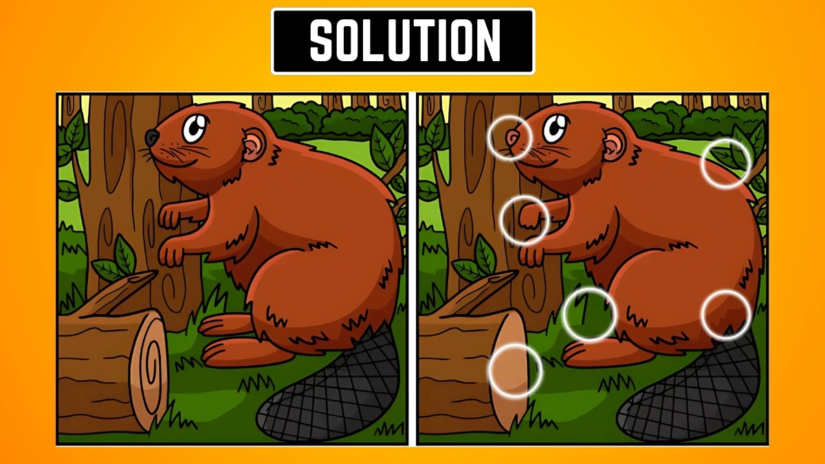 Brain Teaser Spot the Difference Game: 9 सेकंड में 6 अंतर खोजने के लिए अपनी आँखों को चुनौती दें Brain Teaser Spot the Difference Game: 9 सेकंड में 6 अंतर खोजने के लिए अपनी आँखों को चुनौती दें