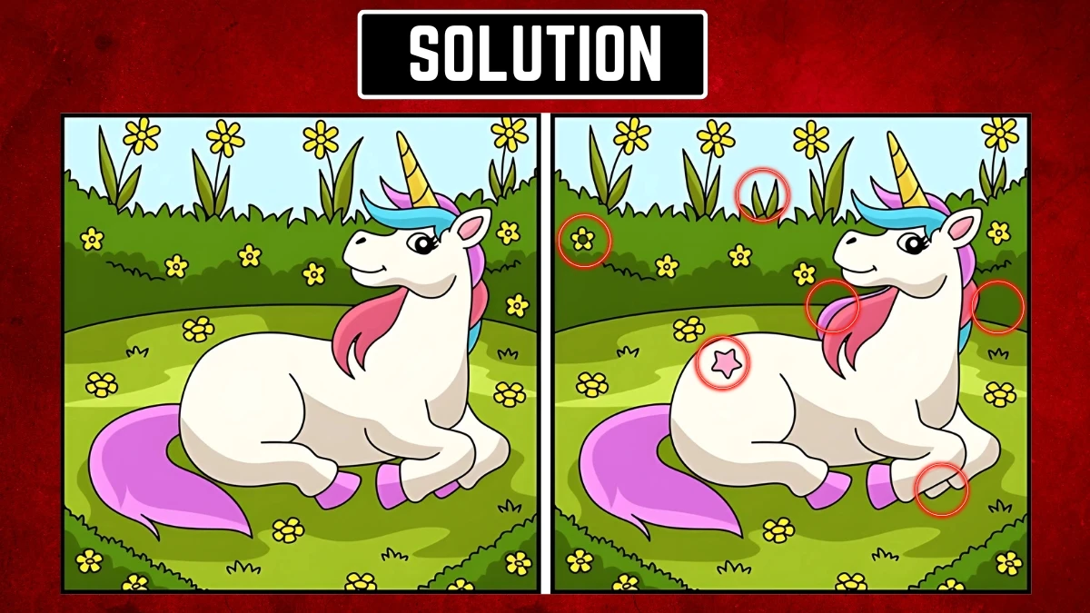 Brain Teaser Spot the Difference Game: इन 6 गुप्त अंतरों के साथ अपने ध्यान को चुनौती दें Brain Teaser Spot the Difference Game: इन 6 गुप्त अंतरों के साथ अपने ध्यान को चुनौती दें