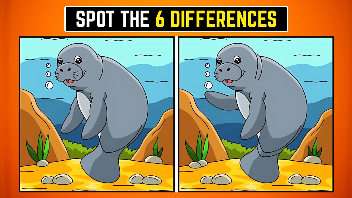 Brain Teaser Spot the Difference Game: केवल सबसे तेज दिमाग ही सभी 6 अंतरों को खोज पाएगा