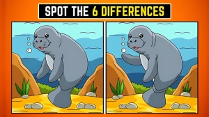 Brain Teaser Spot the Difference Game: केवल सबसे तेज दिमाग ही सभी 6 अंतरों को खोज पाएगा