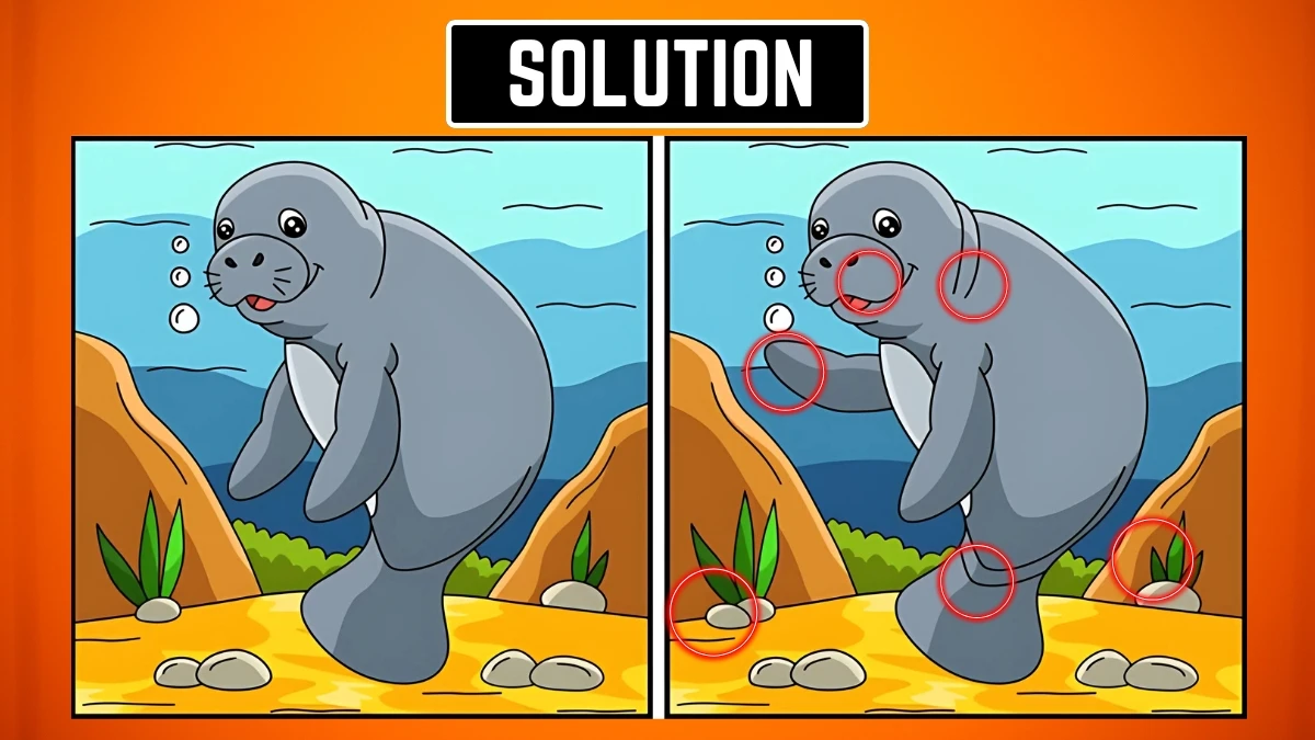 Brain Teaser Spot the Difference Game: केवल सबसे तेज दिमाग ही सभी 6 अंतरों को खोज पाएगा Brain Teaser Spot the Difference Game: केवल सबसे तेज दिमाग ही सभी 6 अंतरों को खोज पाएगा