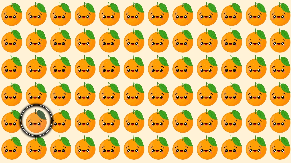 Brain Teaser केवल एक तेज नज़र ही विषम नारंगी को पहचान सकती है Brain Teaser केवल एक तेज नज़र ही विषम नारंगी को पहचान सकती है