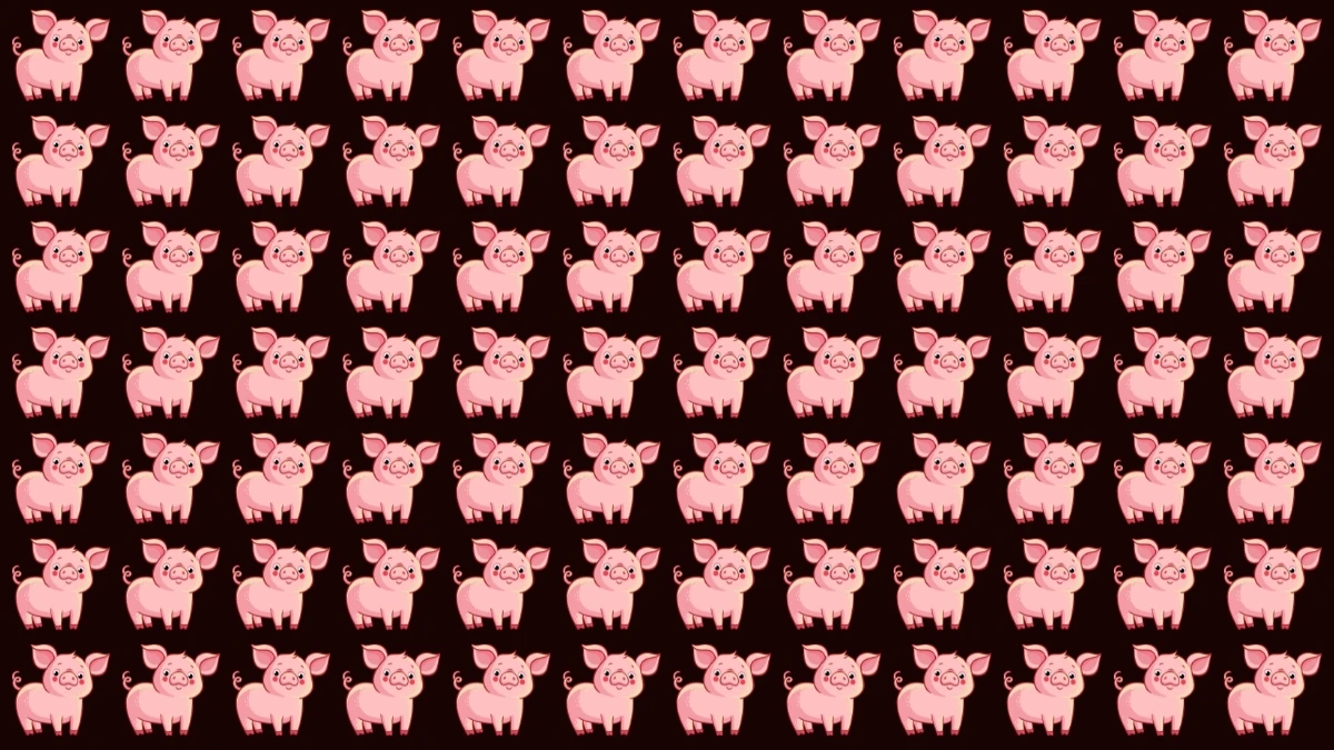 Brain Teaser: सिर्फ़ 7 सेकंड में अजीब सूअर को पहचानें Brain Teaser: सिर्फ़ 7 सेकंड में अजीब सूअर को पहचानें