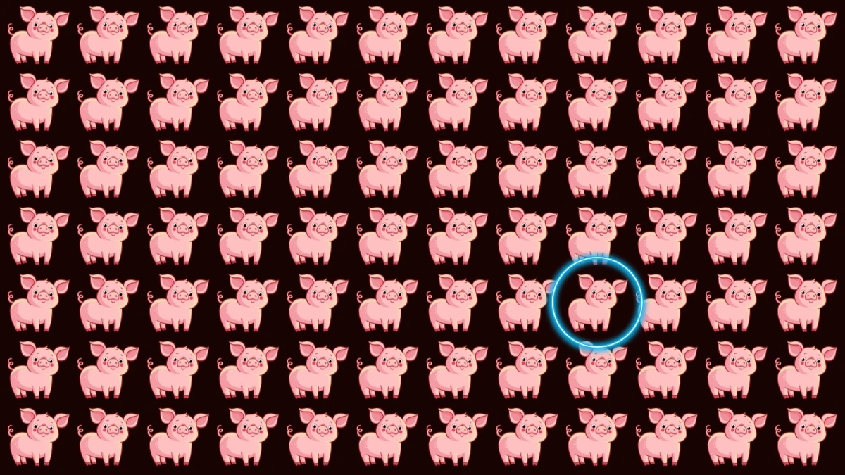 Brain Teaser: सिर्फ़ 7 सेकंड में अजीब सूअर को पहचानें Brain Teaser: सिर्फ़ 7 सेकंड में अजीब सूअर को पहचानें