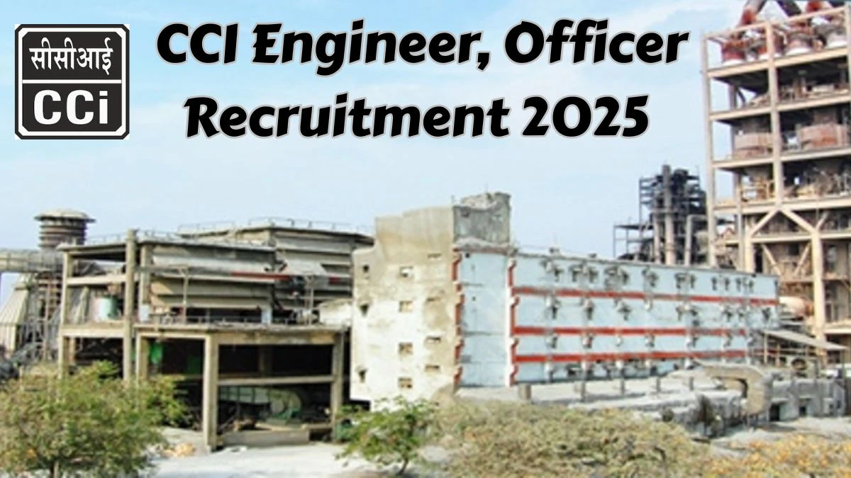 CCI Recruitment 2025 – 29 Posts, Online Form Out at cciltd.in CCI Recruitment 2025 – 29 Posts, Online Form Out at cciltd.in