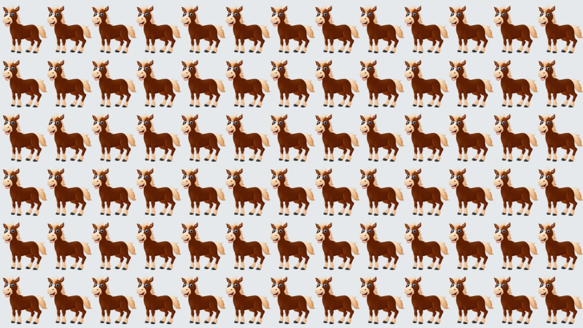 Optical Illusion: 6 सेकंड में उस घोड़े को खोजें जो आपके लिए उपयुक्त नहीं है Optical Illusion: 6 सेकंड में उस घोड़े को खोजें जो आपके लिए उपयुक्त नहीं है
