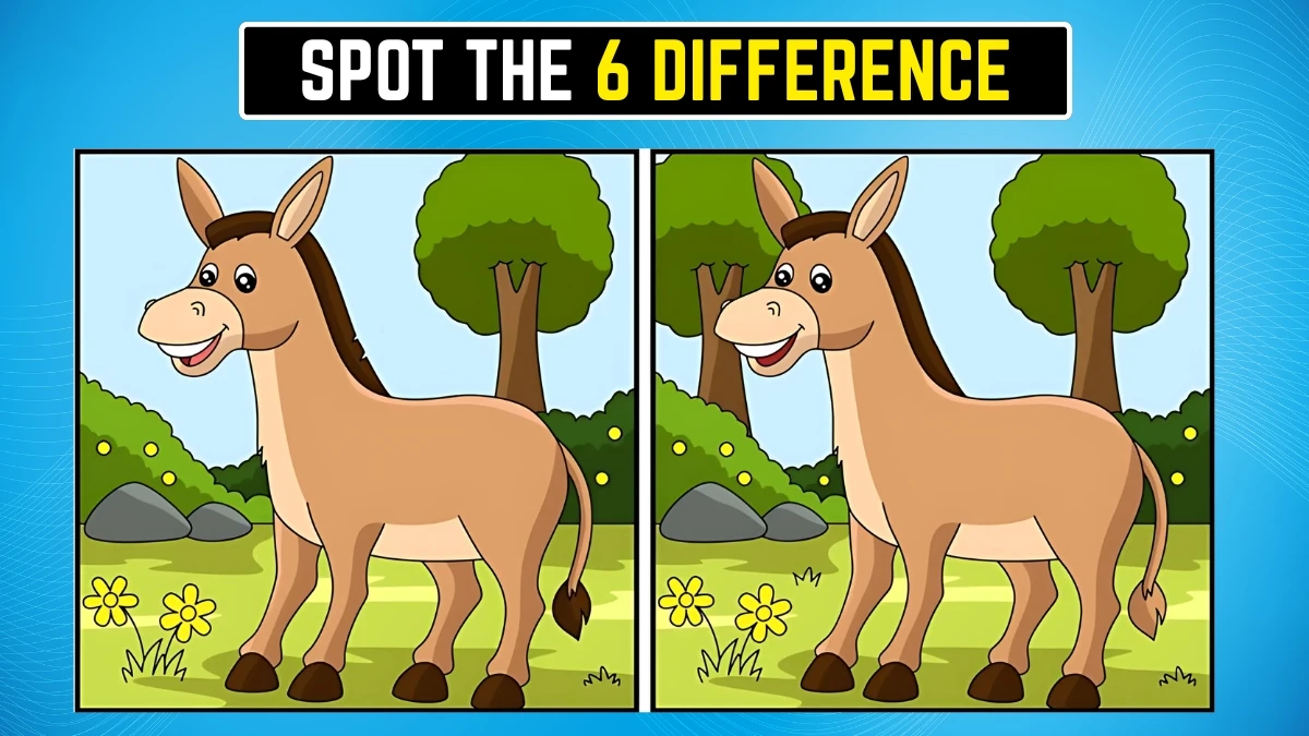 Optical Illusion: 6 अंतर ढूंढ़कर अपनी दृष्टि का परीक्षण करें Optical Illusion: 6 अंतर ढूंढ़कर अपनी दृष्टि का परीक्षण करें
