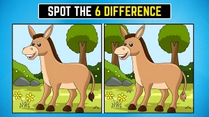 Optical Illusion: 6 अंतर ढूंढ़कर अपनी दृष्टि का परीक्षण करें