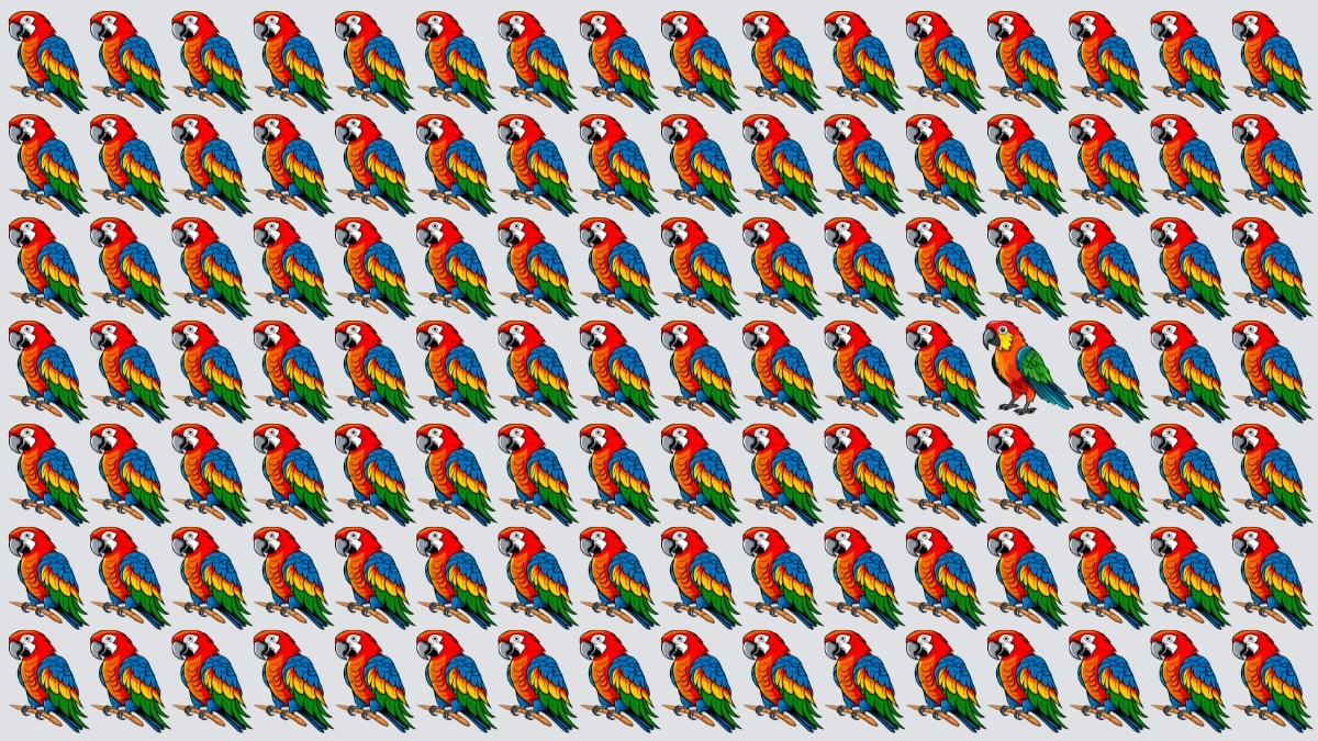 Optical Illusion: केवल सबसे तेज दिमाग ही अजीब तोते को खोज सकता है Optical Illusion: केवल सबसे तेज दिमाग ही अजीब तोते को खोज सकता है