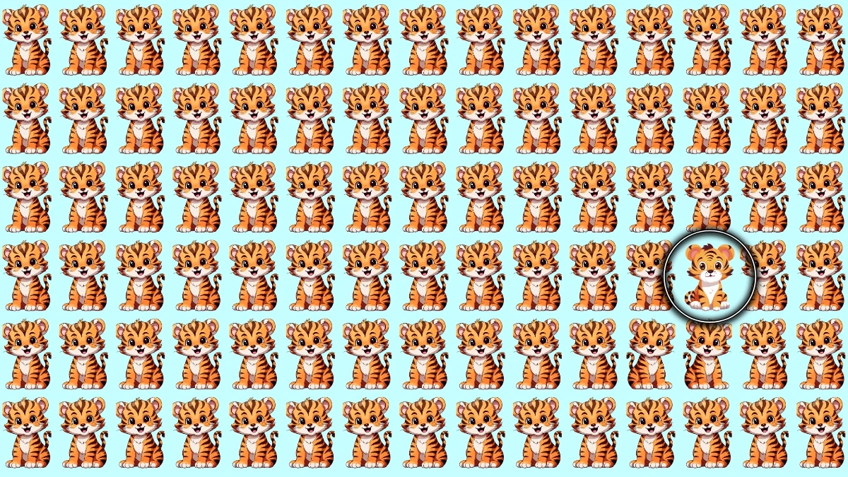 Optical Illusion: केवल तेज़ नज़रें ही अनोखे बाघ को पहचान सकती हैं Optical Illusion: केवल तेज़ नज़रें ही अनोखे बाघ को पहचान सकती हैं