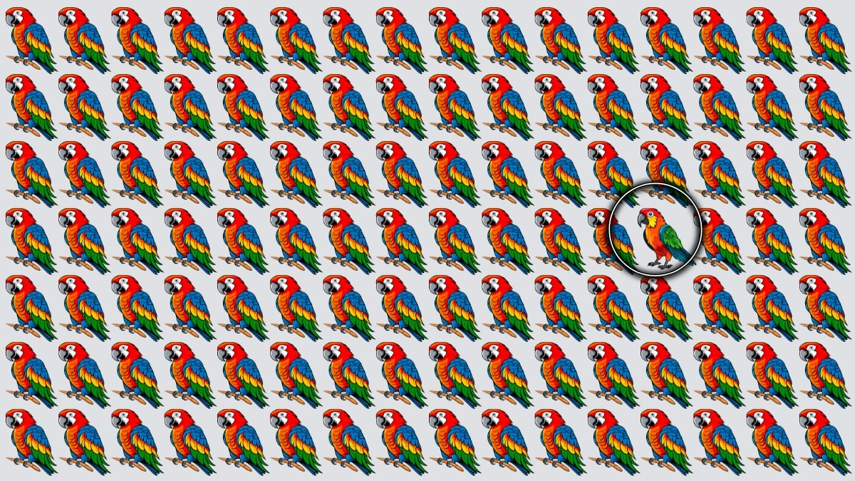Optical Illusion: केवल सबसे तेज दिमाग ही अजीब तोते को खोज सकता है Optical Illusion: केवल सबसे तेज दिमाग ही अजीब तोते को खोज सकता है