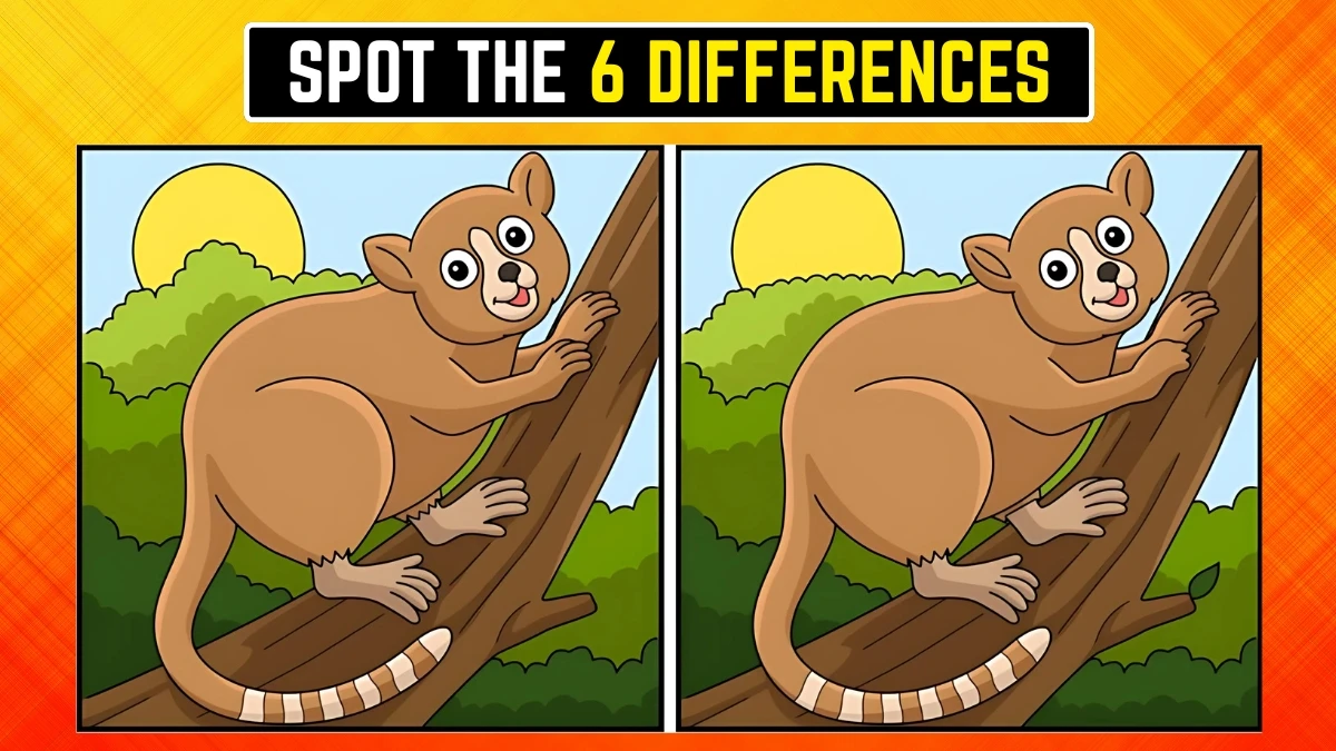 Optical Illusion Spot the Difference Game: अपनी आँखों को चुनौती दें कि 8 सेकंड में 6 अंतर खोजें Optical Illusion Spot the Difference Game: अपनी आँखों को चुनौती दें कि 8 सेकंड में 6 अंतर खोजें