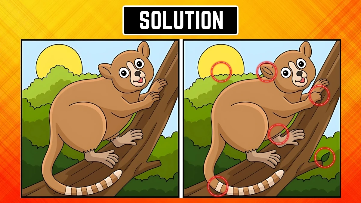 Optical Illusion Spot the Difference Game: अपनी आँखों को चुनौती दें कि 8 सेकंड में 6 अंतर खोजें Optical Illusion Spot the Difference Game: अपनी आँखों को चुनौती दें कि 8 सेकंड में 6 अंतर खोजें