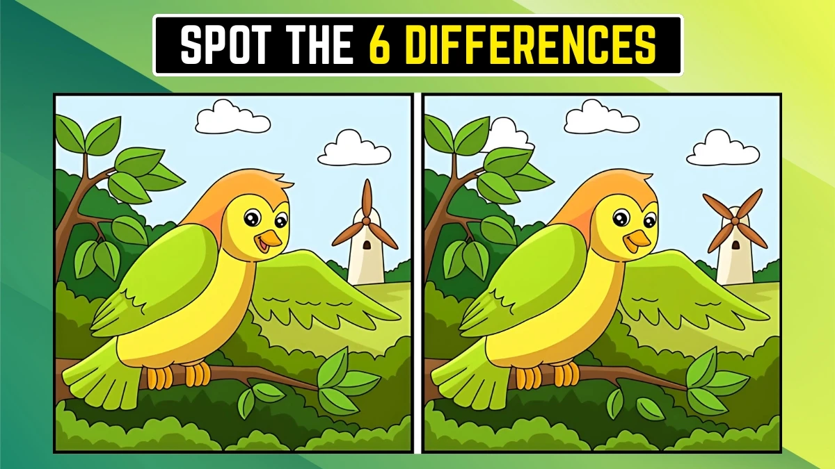 Optical Illusion Spot the Difference: केवल सबसे तेज़ आंखें ही 8 सेकंड में 6 परिवर्तन खोज सकती हैं Optical Illusion Spot the Difference: केवल सबसे तेज़ आंखें ही 8 सेकंड में 6 परिवर्तन खोज सकती हैं