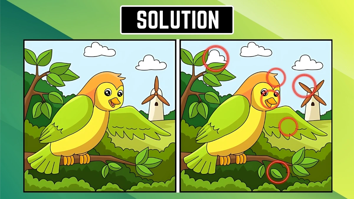 Optical Illusion Spot the Difference: केवल सबसे तेज़ आंखें ही 8 सेकंड में 6 परिवर्तन खोज सकती हैं Optical Illusion Spot the Difference: केवल सबसे तेज़ आंखें ही 8 सेकंड में 6 परिवर्तन खोज सकती हैं