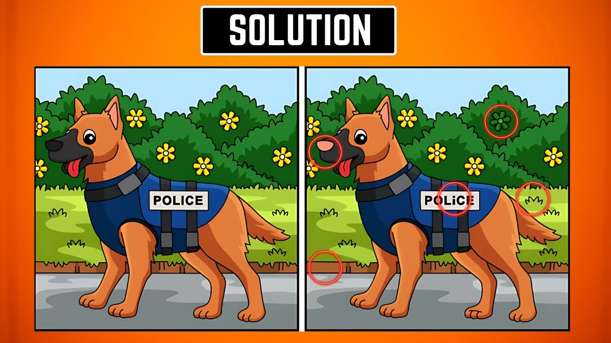 Optical Illusion: 5 छिपे हुए अंतरों से अपनी आँखों का परीक्षण करें Optical Illusion: 5 छिपे हुए अंतरों से अपनी आँखों का परीक्षण करें