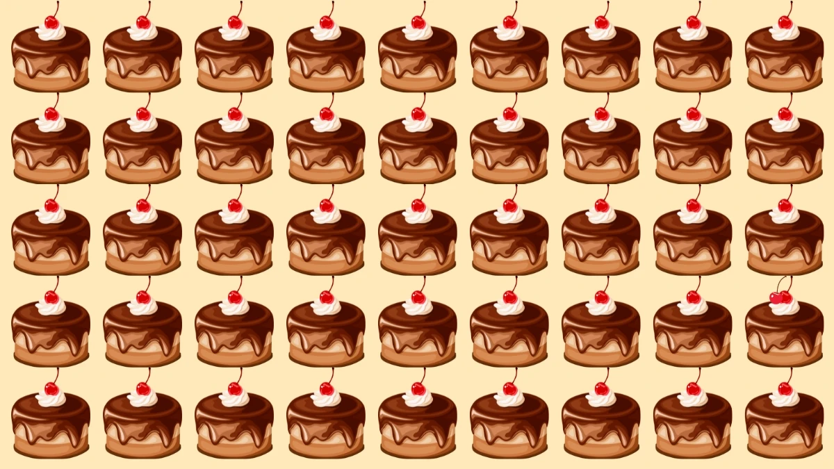 Optical Illusion Visual Test: 7 सेकंड में अलग केक पहचानें! Optical Illusion Visual Test: 7 सेकंड में अलग केक पहचानें!
