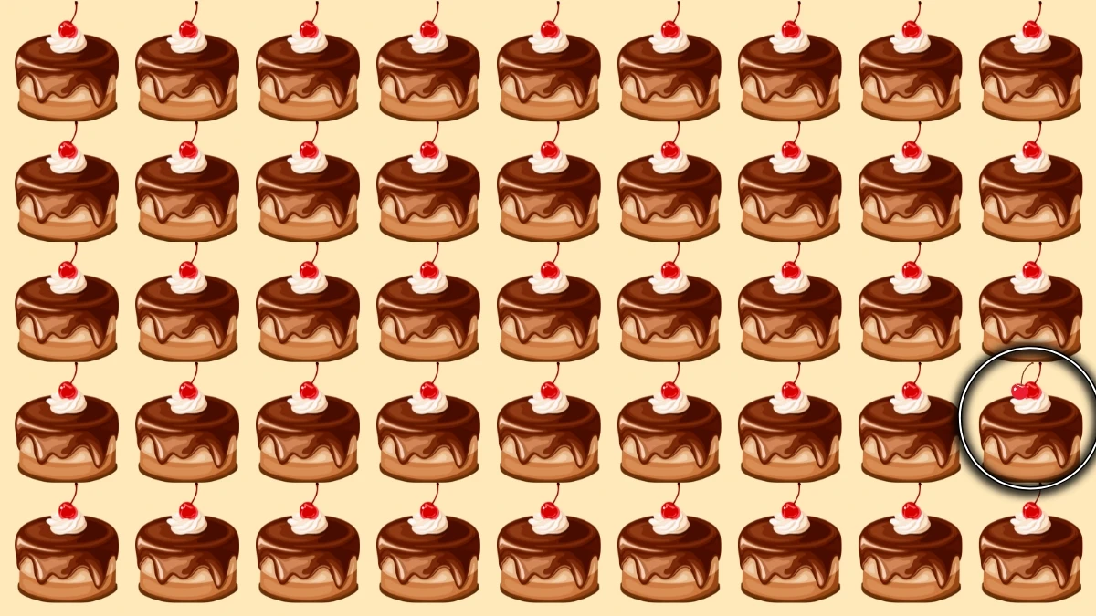 Optical Illusion Visual Test: 7 सेकंड में अलग केक पहचानें! Optical Illusion Visual Test: 7 सेकंड में अलग केक पहचानें!