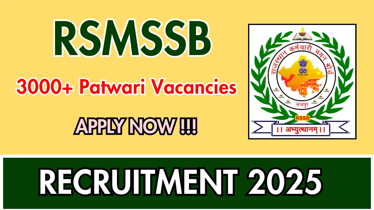 RSMSSB Recruitment 2025 – 3705 Posts, Online Form Out at rssb.rajasthan.gov.in RSMSSB Recruitment 2025 – 3705 Posts, Online Form Out at rssb.rajasthan.gov.in