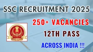 SSC Stenographer Grade C and D Recruitment 2025 अधिसूचना जारी, 261 पदों के लिए ऑनलाइन आवेदन करें SSC Stenographer Grade C and D Recruitment 2025 अधिसूचना जारी, 261 पदों के लिए ऑनलाइन आवेदन करें