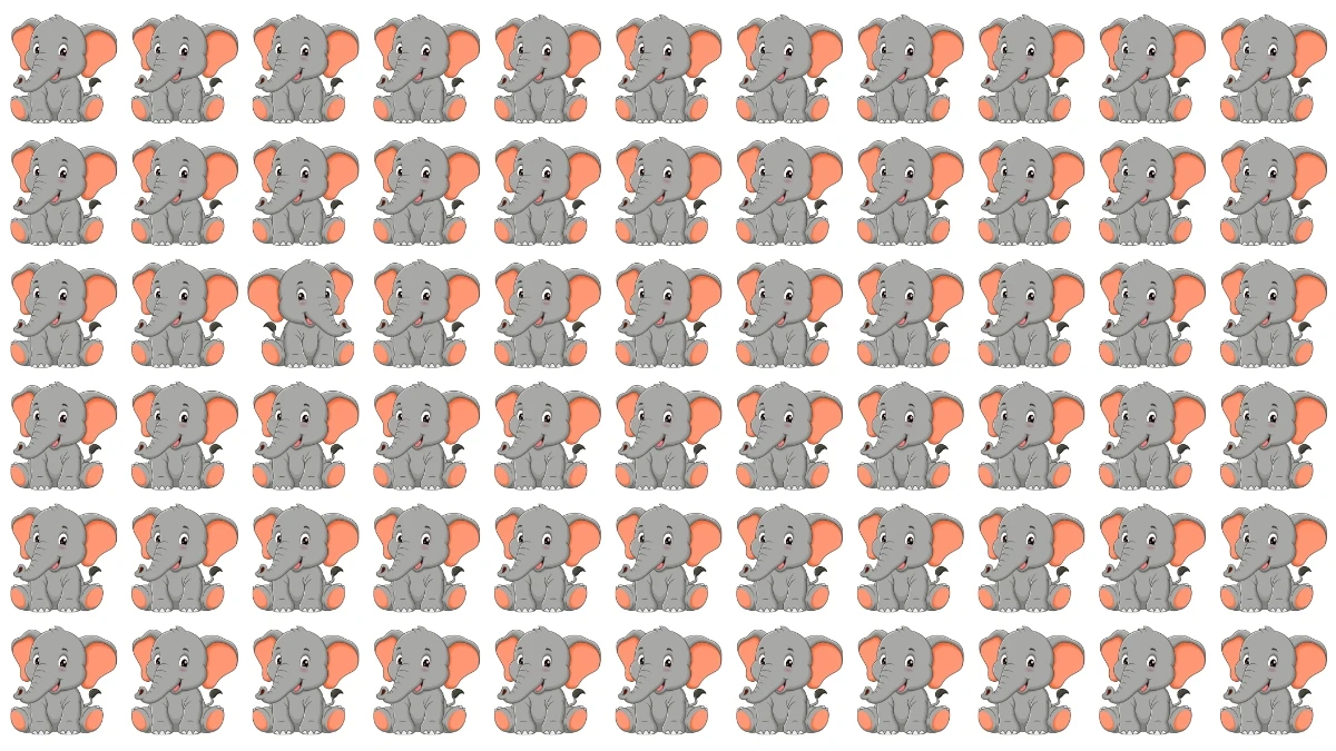 Brain Teaser: 6 सेकंड में अलग हाथी को पहचानें! Brain Teaser: 6 सेकंड में अलग हाथी को पहचानें!