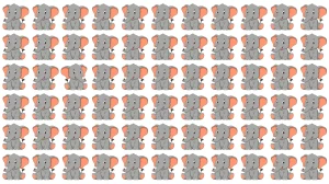 Brain Teaser: 6 सेकंड में अलग हाथी को पहचानें! Brain Teaser: 6 सेकंड में अलग हाथी को पहचानें!