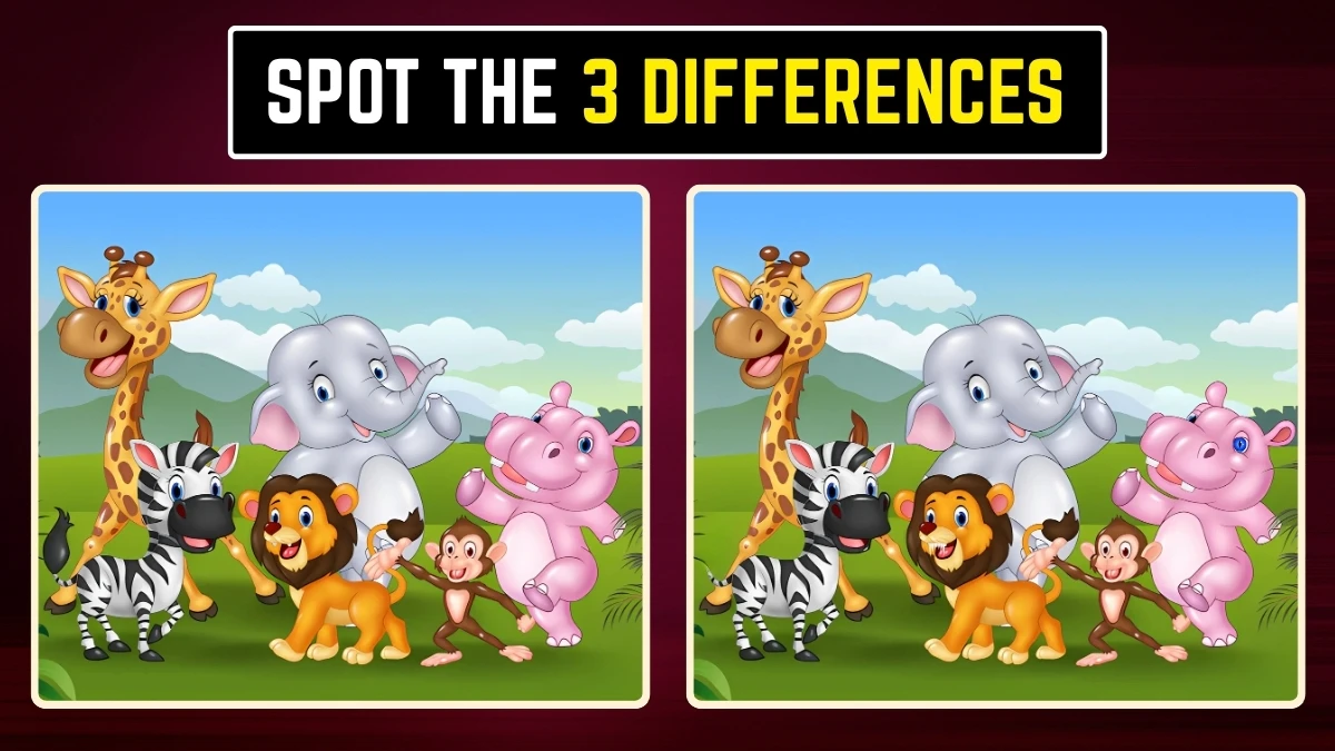 Brain Teaser: क्या आप 9 सेकंड में 3 अंतर पहचान सकते हैं? Brain Teaser: क्या आप 9 सेकंड में 3 अंतर पहचान सकते हैं?