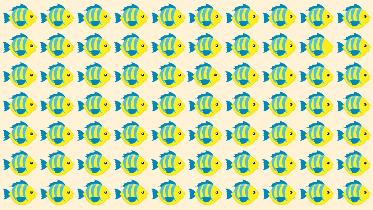 Brain Teaser: 9 सेकंड में अजीब मछली पहचानें Brain Teaser: 9 सेकंड में अजीब मछली पहचानें