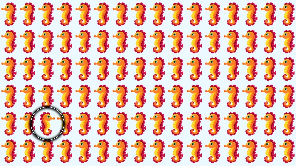 Brain Teaser: 8 सेकंड में अलग समुद्री घोड़ा खोजें! Brain Teaser: 8 सेकंड में अलग समुद्री घोड़ा खोजें!