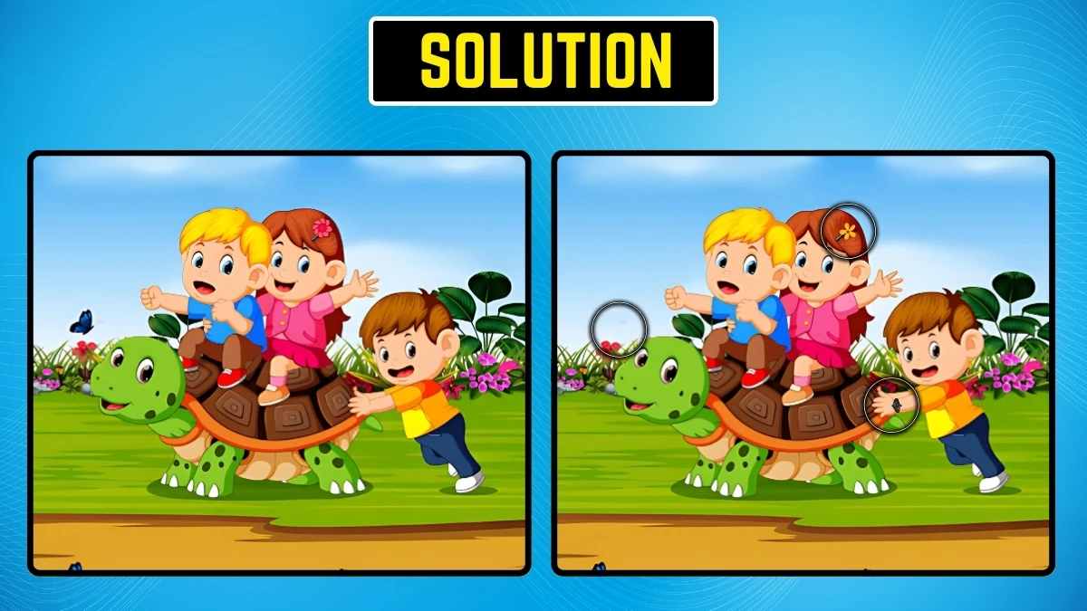 Brain Teaser: 9 सेकंड में 3 छिपे हुए अंतर खोजें!