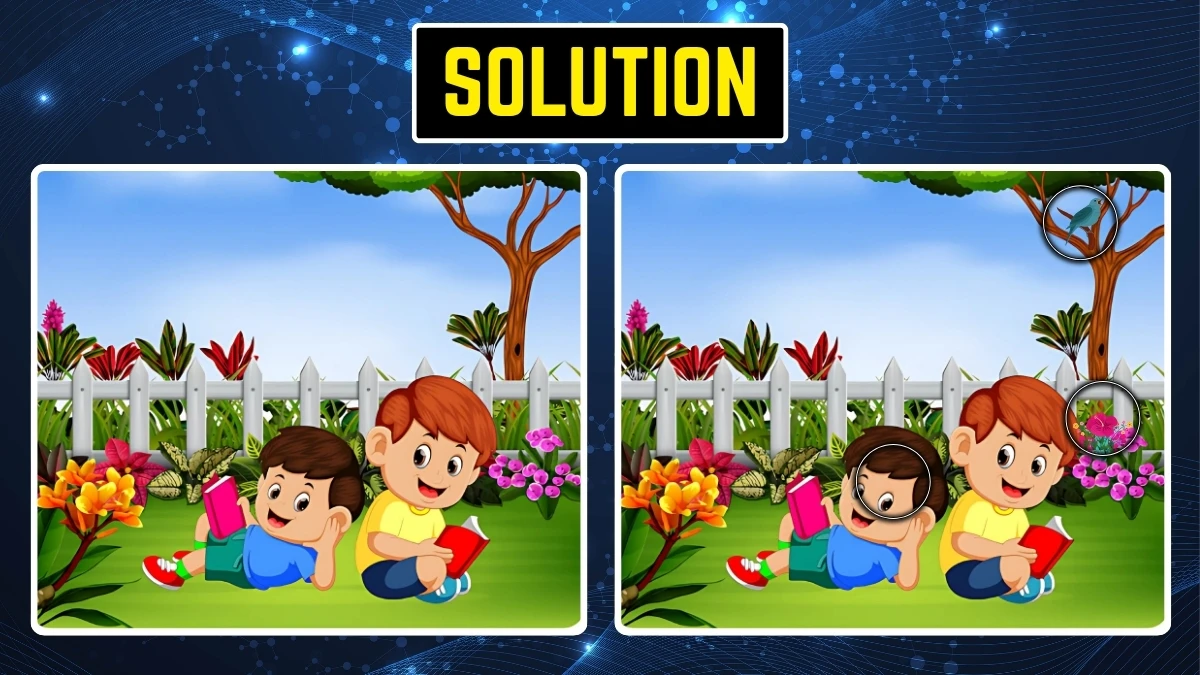 Brain Teaser: 9 सेकंड में 3 छिपे हुए अंतर खोजें!