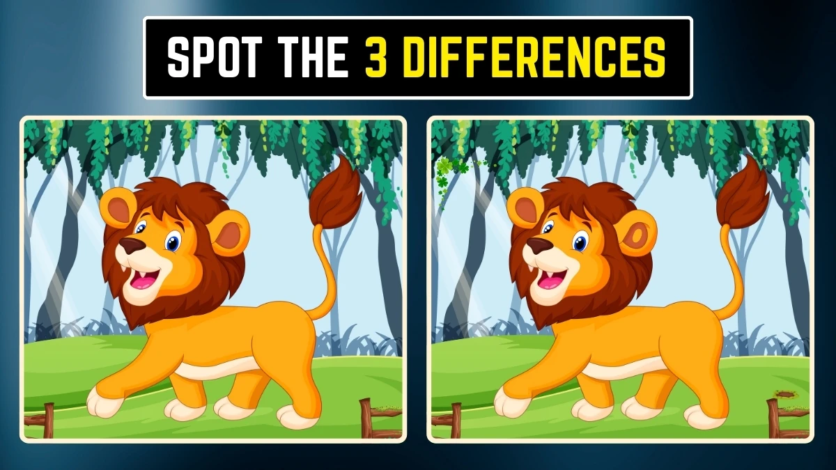 Brain Teaser Spot The Difference: क्या आप 6 सेकंड में सभी 3 ढूंढ सकते हैं? Brain Teaser Spot The Difference: क्या आप 6 सेकंड में सभी 3 ढूंढ सकते हैं?