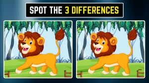 Brain Teaser Spot The Difference: क्या आप 6 सेकंड में सभी 3 ढूंढ सकते हैं? Brain Teaser Spot The Difference: क्या आप 6 सेकंड में सभी 3 ढूंढ सकते हैं?